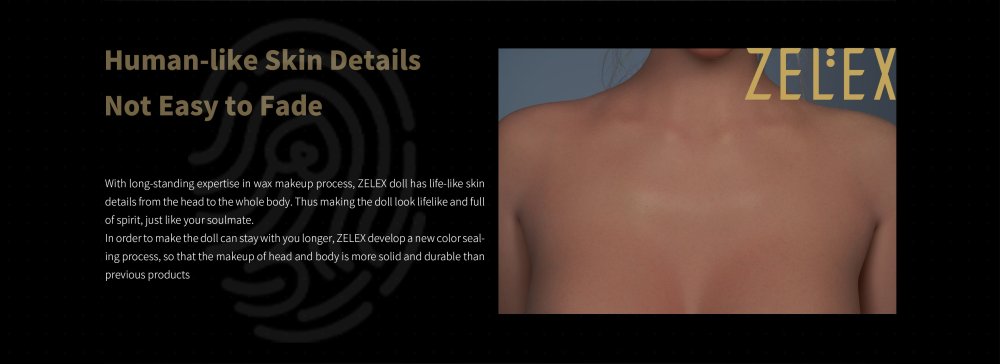 ZELEX Inspiration Series Banner