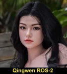 Qingwen ROS-2