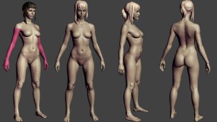 Build custom Sex Doll body from your pictures - WM Dolls