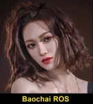 Baochai ROS