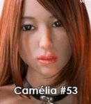 Camelia #53