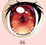 66