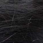 Black (Lidské)