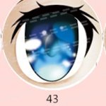 43