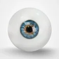 Blue Eyes With Veins