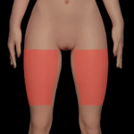 Soft Thigh