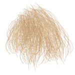 Blond