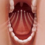 Oral suction
