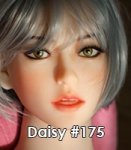 #175 Daisy