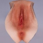 Flesh